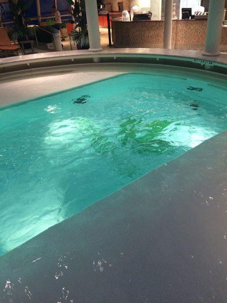 vacaciones herbalife -piscina